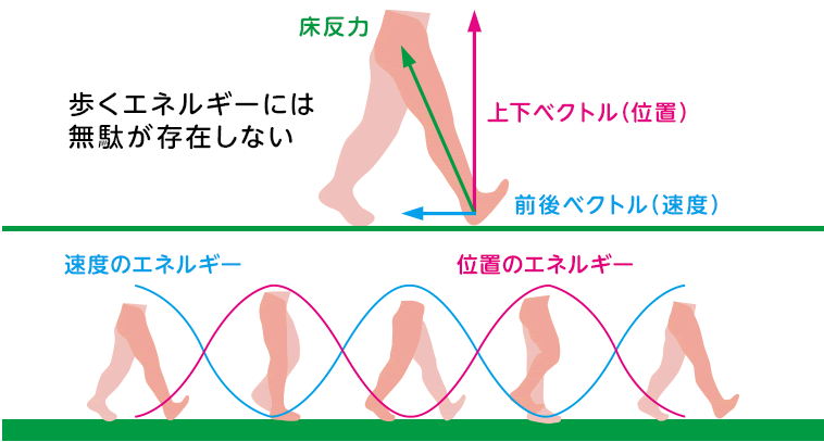 その２：エネルギーのバランスがスゴイ！