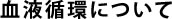 血液循環について