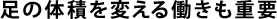 足の体積を変える働きも重要