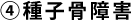 ④種子骨障害