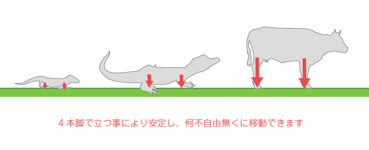 四つ脚での進化