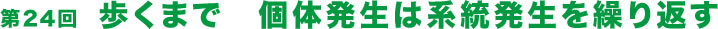 第24回  歩くまで　個体発生は系統発生を繰り返す