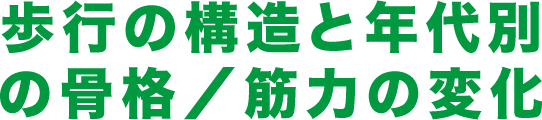 歩行の構造と年代別の骨格／筋力の変化