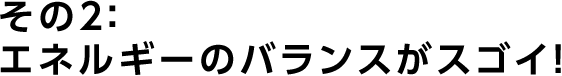 その2：エネルギーのバランスがスゴイ！