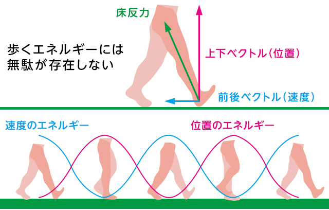 その2：エネルギーのバランスがスゴイ！