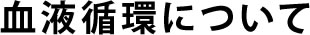 血液循環について