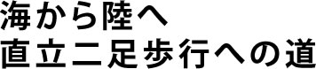 直立二足歩行への道